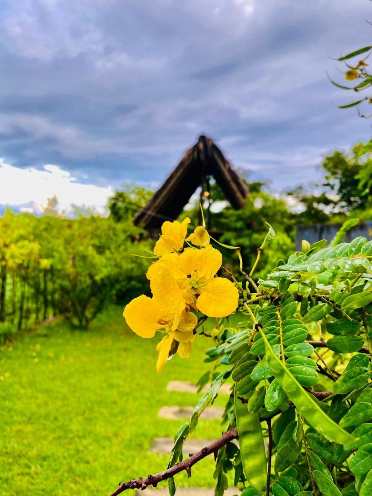 Kalametiya Bird Villa Тангалла Экстерьер фото